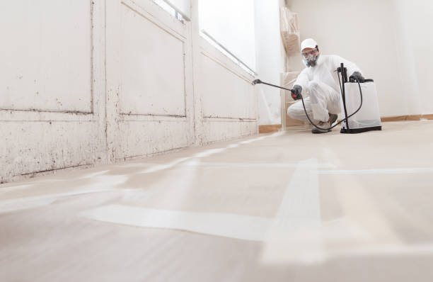 24/7 Emergency Mold Remediation experts in New Jersey, NJ